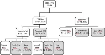 Clinical implications of respiratory ciliary dysfunction in heterotaxy patients with congenital heart disease: elevated risk of postoperative airway complications